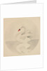 Swan by Mary Altha Nims