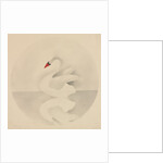 Swan by Mary Altha Nims