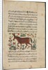 Text Page, Persian Prose; Khar, 1400s by Unknown