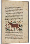 Text Page, Persian Prose; Khar, 1400s by Unknown