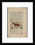 Text Page, Persian Prose; Khar, 1400s by Unknown