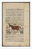 Text Page, Persian Prose; Khar, 1400s by Unknown