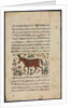 Text Page, Persian Prose; Khar, 1400s by Unknown