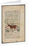 Text Page, Persian Prose; Khar, 1400s by Unknown