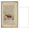 Text Page, Persian Prose; Khar, 1400s by Unknown