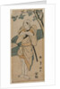 The Actor Ichikawa Danjuro as a Samurai, 1769-1825 by Utagawa Toyokuni