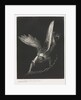 The Apocalypse of Saint John: And I Saw in the Right Hand of Him that Sat…, 1899 by Odilon Redon; Blanchard; Ambroise Vollard