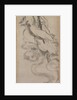The Ascending Daoist Immortal, 18th century by Unknown