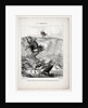 The Banqueters, plate 9: What a pitiful idea we have…, 1849 by Honoré Daumier