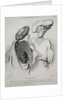 The Beautiful Days of Life, plate 30: An Indian Custom, 1844 by Honoré Daumier; Aubert