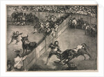 The Bulls of Bordeaux: Bullfight in a Divided Ring, 1825 by Francisco de Goya
