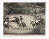 The Bulls of Bordeaux: The Famous American, Mariano Ceballos, 1825 by Francisco de Goya