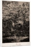 The Comedy of Death, 1854 by Rodolphe Bresdin; Lemercier