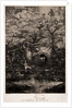 The Comedy of Death, 1854 by Rodolphe Bresdin; Lemercier