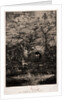 The Comedy of Death, 1854 by Rodolphe Bresdin; Lemercier