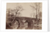The Country Bridge, c. 1854- 1857 by John Dillwyn Llewelyn