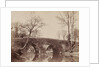 The Country Bridge, c. 1854- 1857 by John Dillwyn Llewelyn