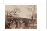 The Country Bridge, c. 1854- 1857 by John Dillwyn Llewelyn