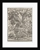 The Dance of Death: The Count or Earl by Hans Holbein