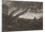 The Dreamer, original impression 1854, printed in 1921 by Jean Baptiste Camille Corot; M. Le Garrec