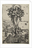 The Ecstasy of Mary Magdalene, 1501-1504 by Albrecht Dürer