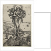 The Ecstasy of Mary Magdalene, 1501-1504 by Albrecht Dürer