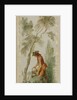 The Gardener, c. 1723-1727 by Nicolas Lancret