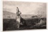 The Hare, 1865 by Félix Bracquemond