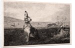 The Hare, 1865 by Félix Bracquemond