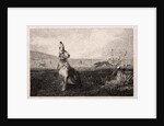 The Hare, 1865 by Félix Bracquemond