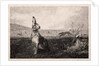 The Hare, 1865 by Félix Bracquemond