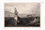 The Hare, 1865 by Félix Bracquemond
