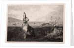 The Hare, 1865 by Félix Bracquemond