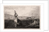 The Hare, 1865 by Félix Bracquemond