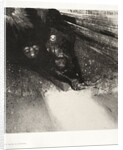 The Haunted House: Larvae So Bloodless and So Hideous, 1896 by Auguste Clot; Odilon Redon