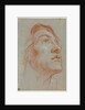 The Head of a Young Man Looking Upwards to the Right, before 1752 by Giovanni Battista Tiepolo