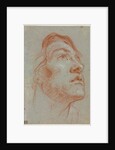 The Head of a Young Man Looking Upwards to the Right, before 1752 by Giovanni Battista Tiepolo