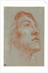The Head of a Young Man Looking Upwards to the Right, before 1752 by Giovanni Battista Tiepolo