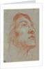 The Head of a Young Man Looking Upwards to the Right, before 1752 by Giovanni Battista Tiepolo