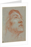 The Head of a Young Man Looking Upwards to the Right, before 1752 by Giovanni Battista Tiepolo