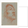The Head of a Young Man Looking Upwards to the Right, before 1752 by Giovanni Battista Tiepolo