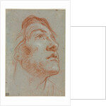 The Head of a Young Man Looking Upwards to the Right, before 1752 by Giovanni Battista Tiepolo