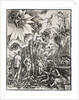 The Judgment of Paris, 1511 by Albrecht Altdorfer