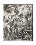 The Judgment of Paris, 1511 by Albrecht Altdorfer