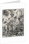 The Judgment of Paris, 1511 by Albrecht Altdorfer