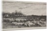 The Large Sheepfold, original impression 1862, printed in 1921 by Charles François Daubigny
