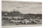 The Large Sheepfold, original impression 1862, printed in 1921 by Charles François Daubigny