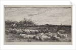 The Large Sheepfold, original impression 1862, printed in 1921 by Charles François Daubigny