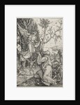 The Life of the Virgin: Joachim and the Angel, c. 1504 by Albrecht Dürer