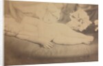 The Lily and the Lamb, c. 1865 by Julia Margaret Cameron